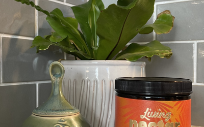 Paleo Masala Coffee (Spiced Paleo Coffee)