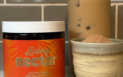 Paleo Chai Tea Latte (Dairy-Free, with Living Nectar)