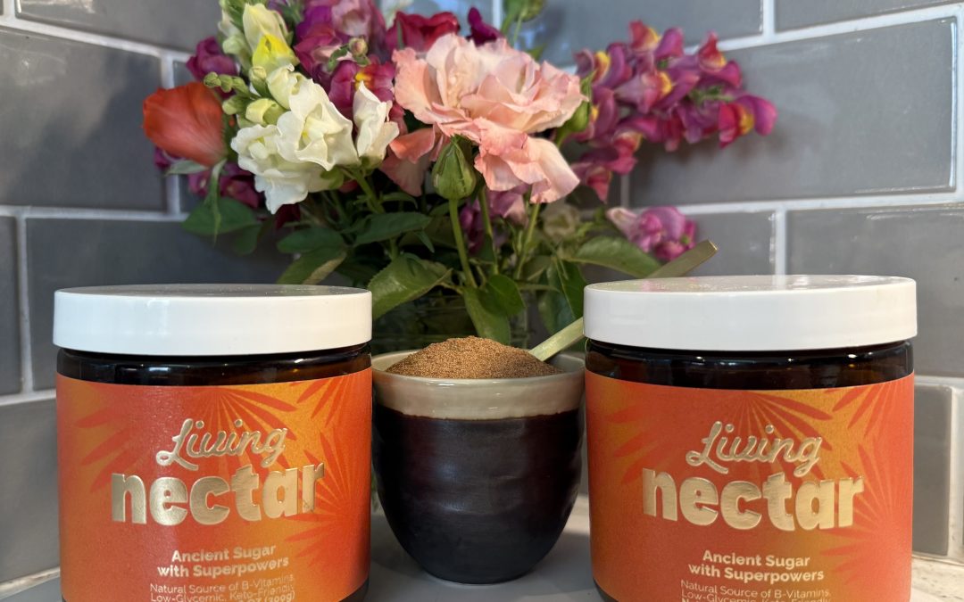 Chocolate Avocado Pudding