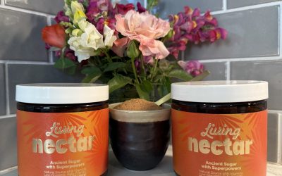 Chocolate Avocado Pudding