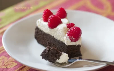 Paleo Chocolate Snack Cake